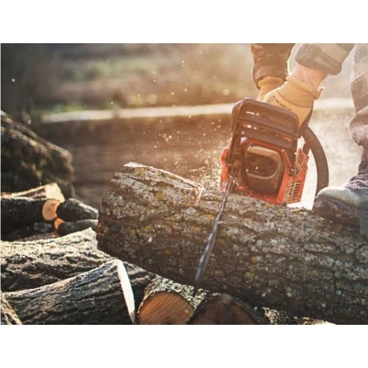 Piła Łańcuchowa do cięcia drzewa Piła łańcuchowa Lasek Drewno _wynik.jpg