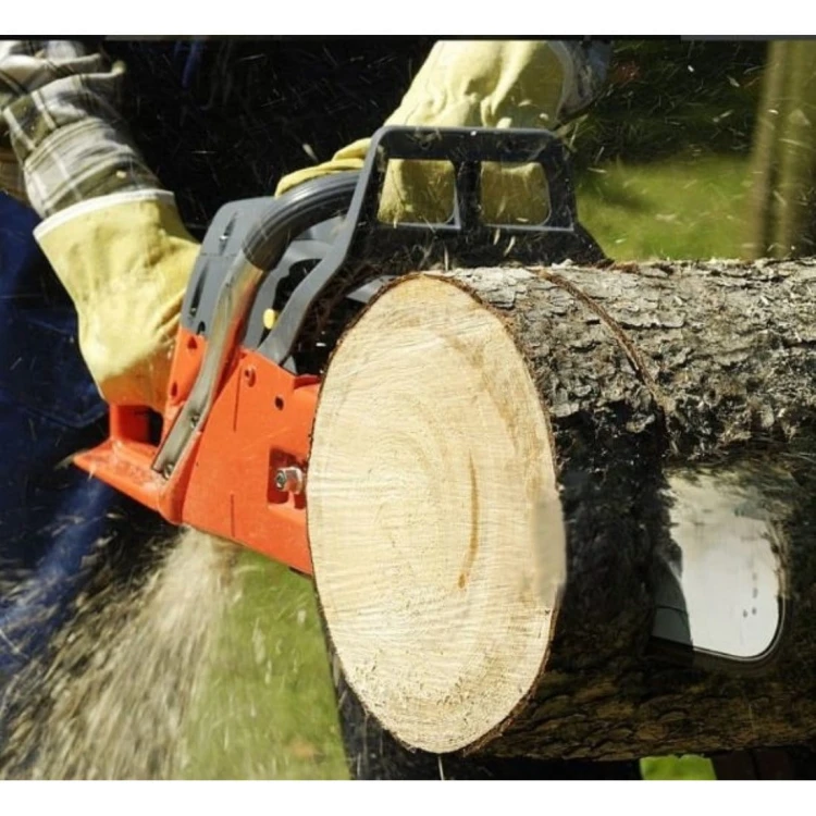 Piła spalinowa łańcuchowa do cięcia drewna _wynik.jpg